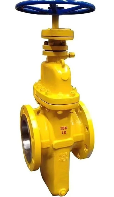 Injap pintu rata gas
